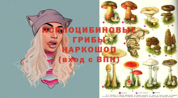 МДМА Богородск