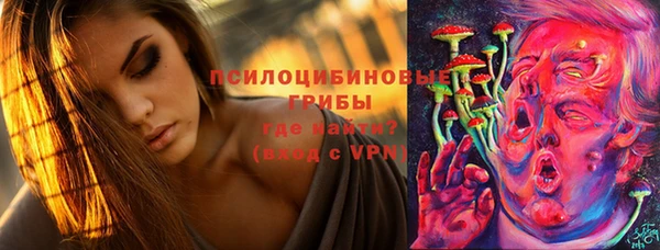 эйфоретик Богданович