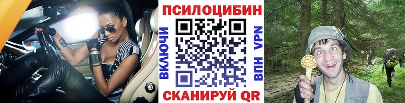 Купить где Новая Ляля Псилоцибиновые грибы Psilocybe